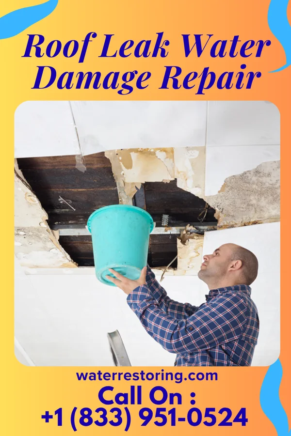 Roof Leak Water Damage Repair in Granite, UT